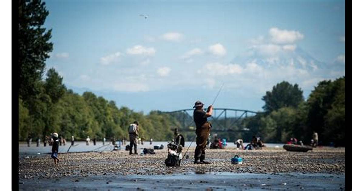 Fishing Regulations for the Puyallup River
